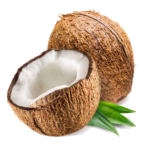 Coshoom coconut chutney coconut tree coconut fruit coconut seed coconut benefits coconut scientific name uses of coconut