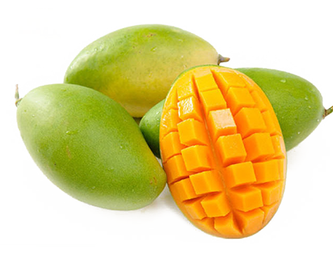 Coshoom mango wikipedia mango india mango fruit mango brand mango clothing mango outlet mango usa mango myntra