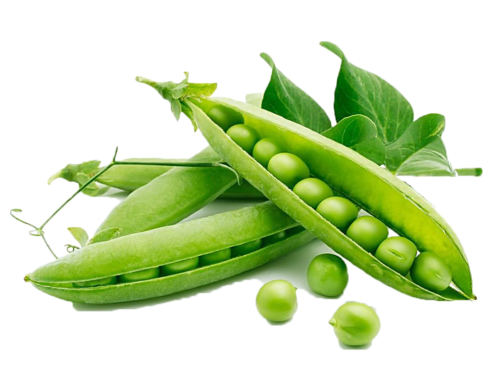 Coshoom Dry peas vs green peas dry peas nutrition Dry peas benefits dry peas price per kg dry peas in hindi Dry peas in india Where to buy dry peas dry peas in english